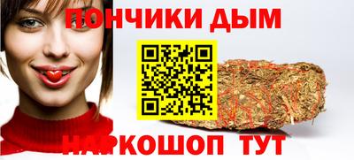 индика Ливны